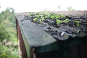 prevent clogged gutters